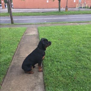 Meet your Posher, Juice